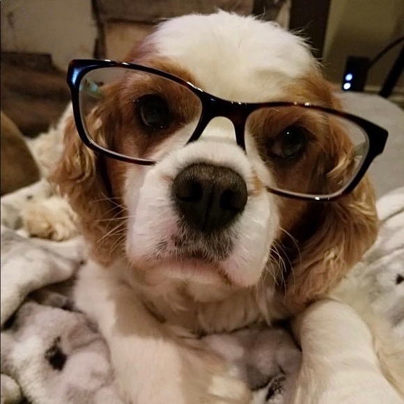 (0-24W; XS-4X) 25% Off ALL Bundles - Picture 7 of 13